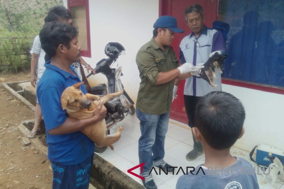 Rejang Lebong eliminasi anjing liar secara selektif