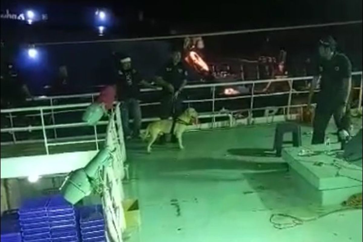 Aparat datangkan anjing pelacak periksa kapal asing