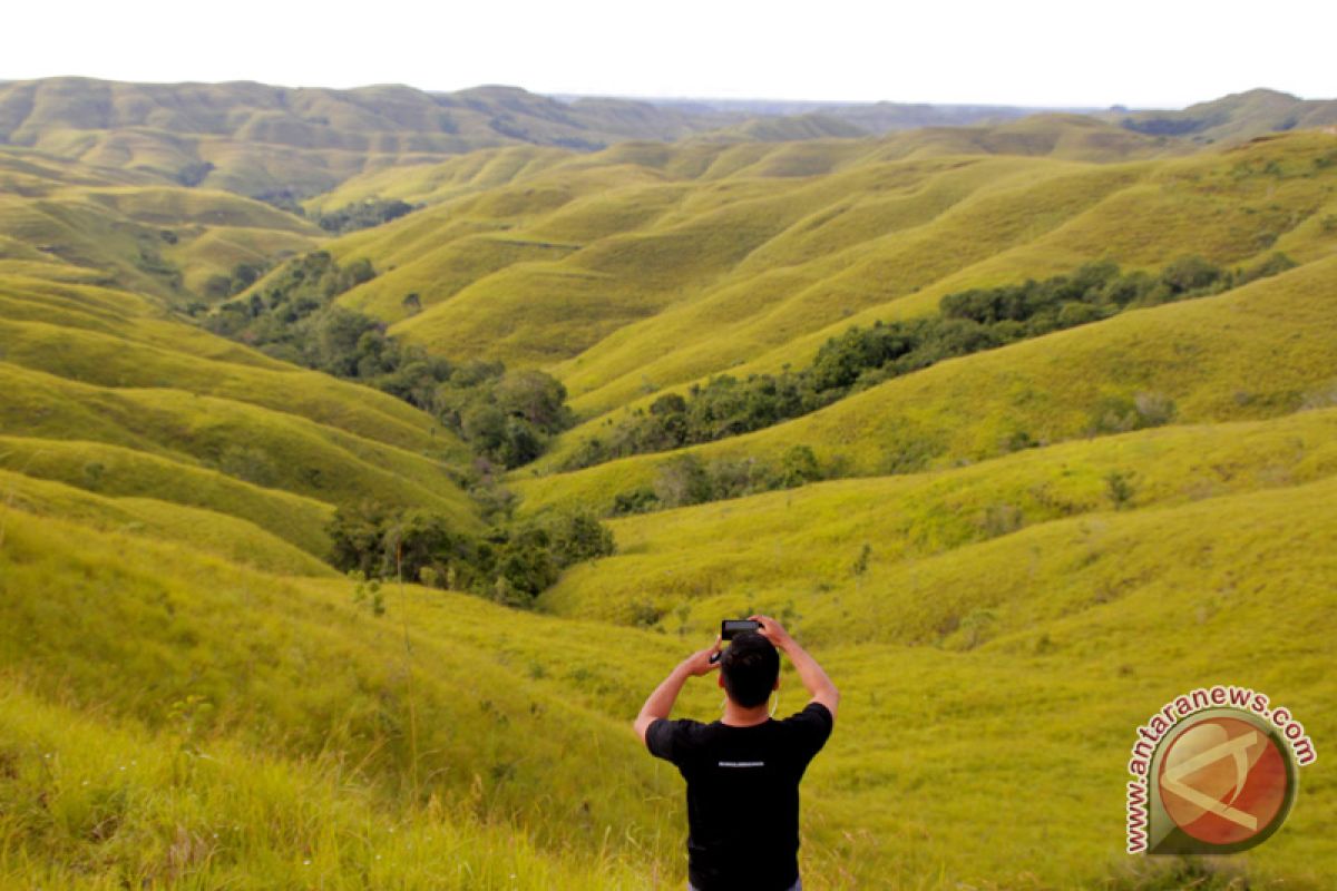 Destinasi wisata populer versi Google: Malang, Labuan Bajo, Sumba