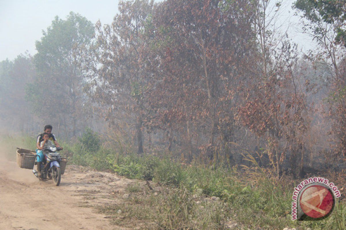 Kabut asap Dumai sempat sentuh level berbahaya