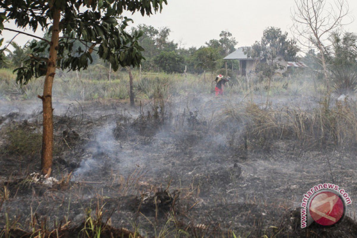Riau declares emergency standby status over land and forest fires
