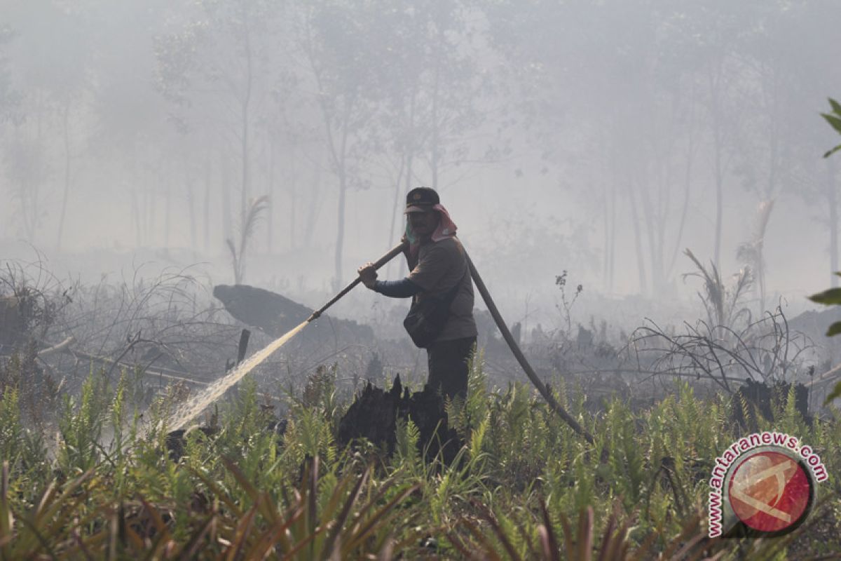 Tiga lokasi kebakaran hutan di Dumai belum bisa dikendalikan