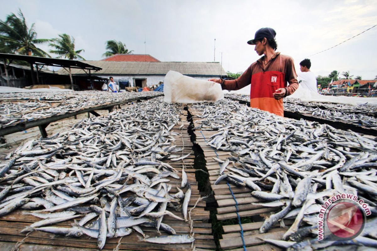 Jepang bantu 10 mesin pengering ikan untuk nelayan Belitung
