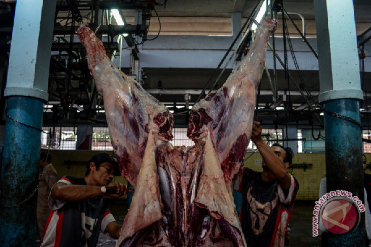 Pemotongan sapi di RPH Giwangan Yogyakarta turun signifikan