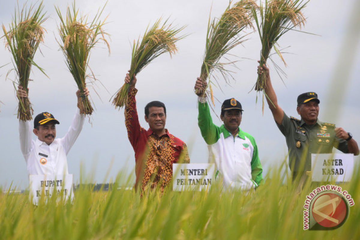 Bantuan pompa hingga asuransi tani, jurus pemerintah hadapi kekeringan