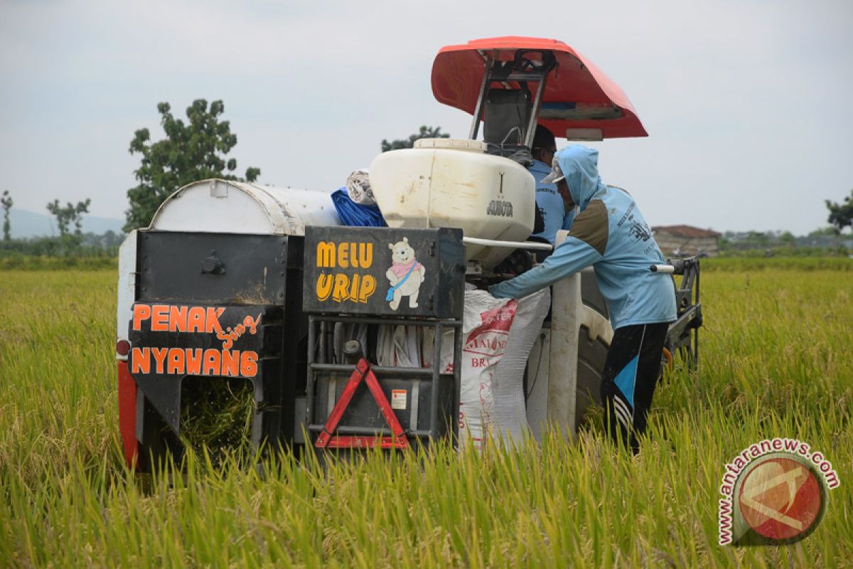 Kementan targetkan satu juta hektare lahan padi terlindungi asuransi