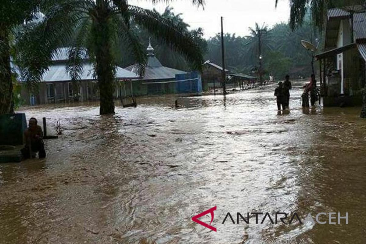 Banjir bandang landa Aceh Tamiang