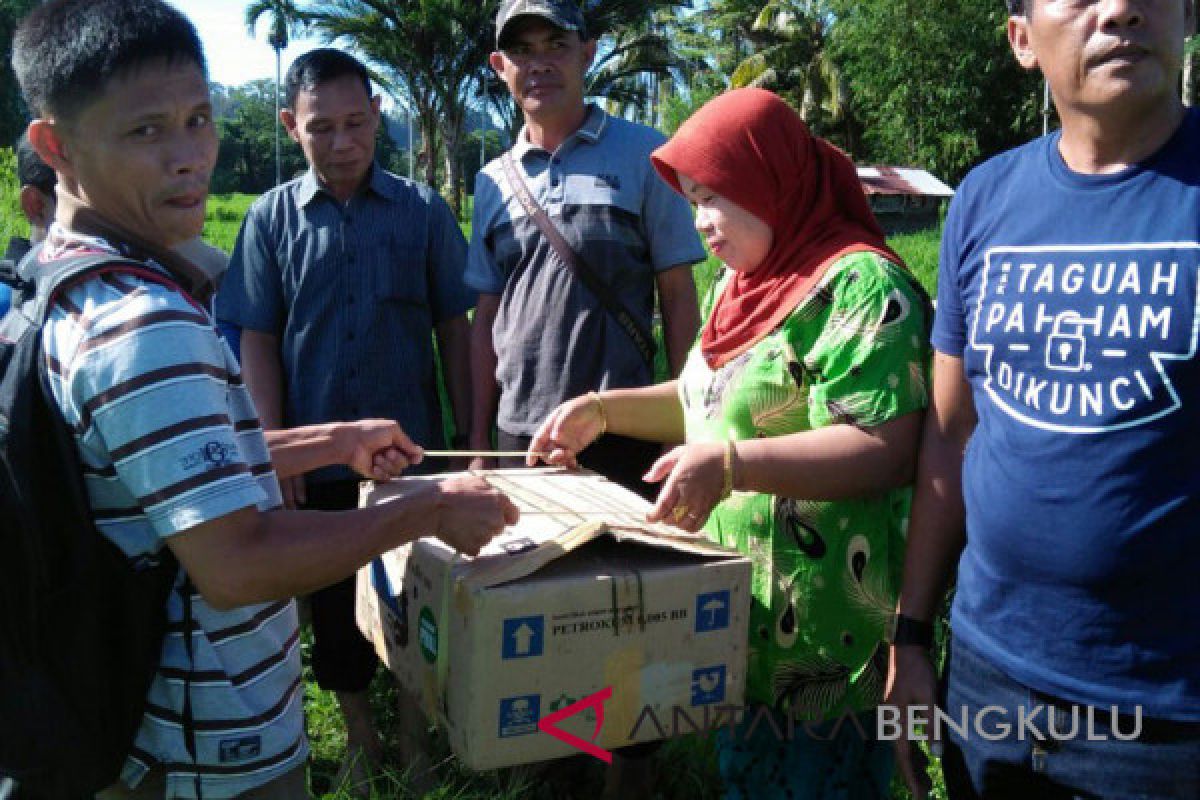 Distan Mukomuko salurkan insektisida-fungisida pengendali hama padi