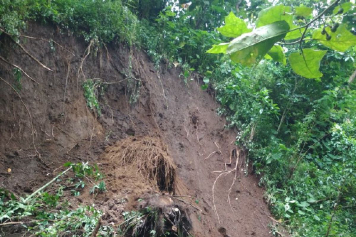 Akses Jalan Desa Tertutup Akibat Tebing Longsor di Ranuyoso Lumajang