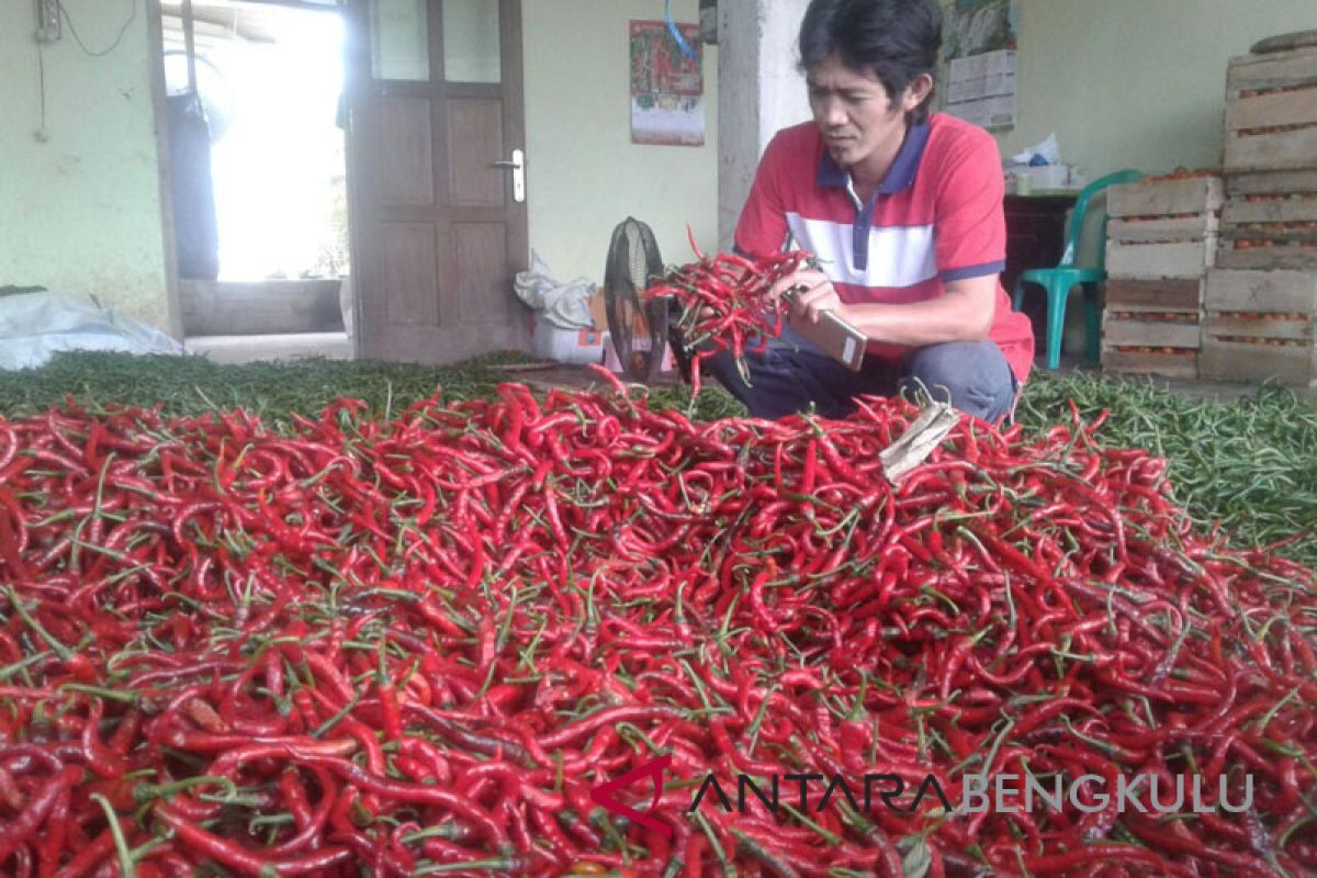 Harga cabai merah bertahan di kisaran Rp30.000