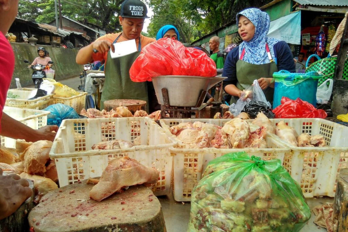 Daging Ayam di  Bojonegoro Turun Rp2.000