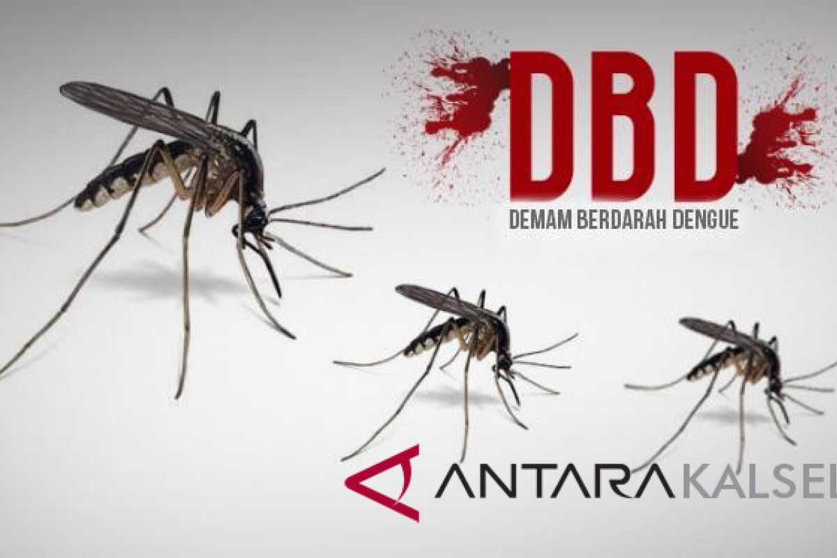 Banjarmasin adults being attacked by dengue