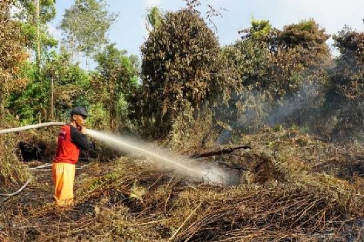 FERT RAPP Bantu Padamkan Lahan 100 Hektar di Rupat