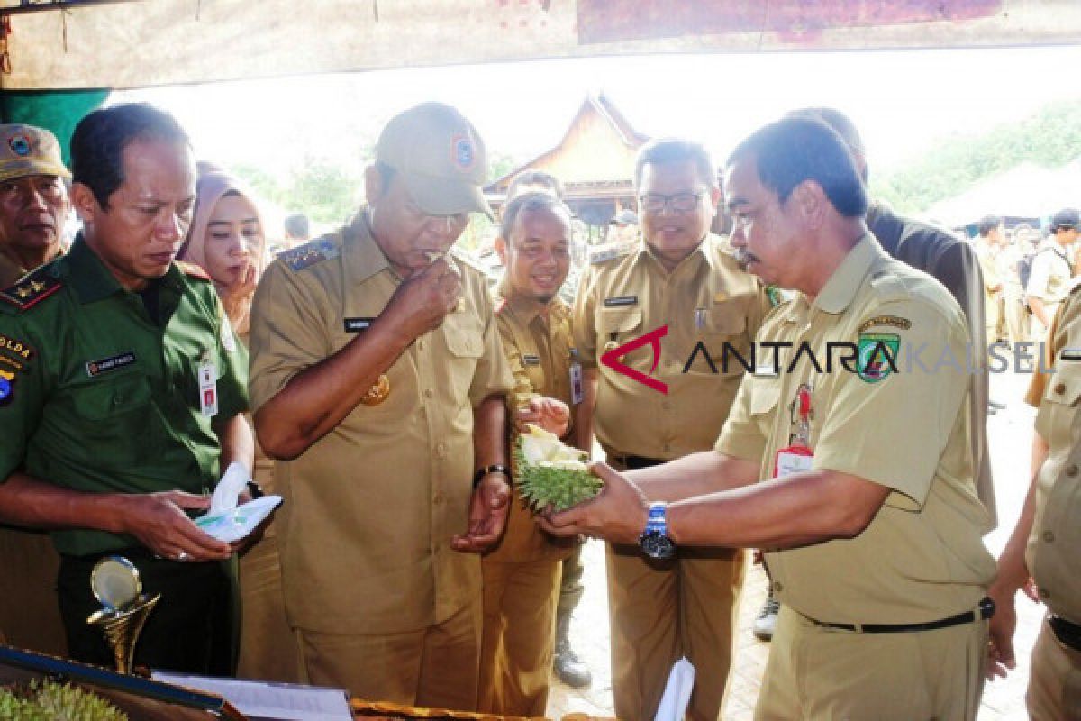 Papakin Mantaula Balangan Juara Tiga Kontes Durian