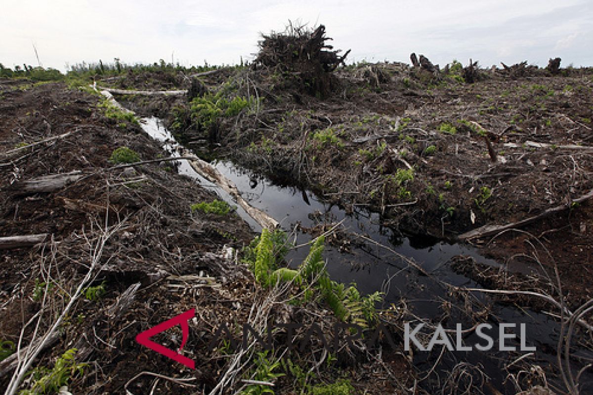 Canals blocks for peat restoration in Tabalong