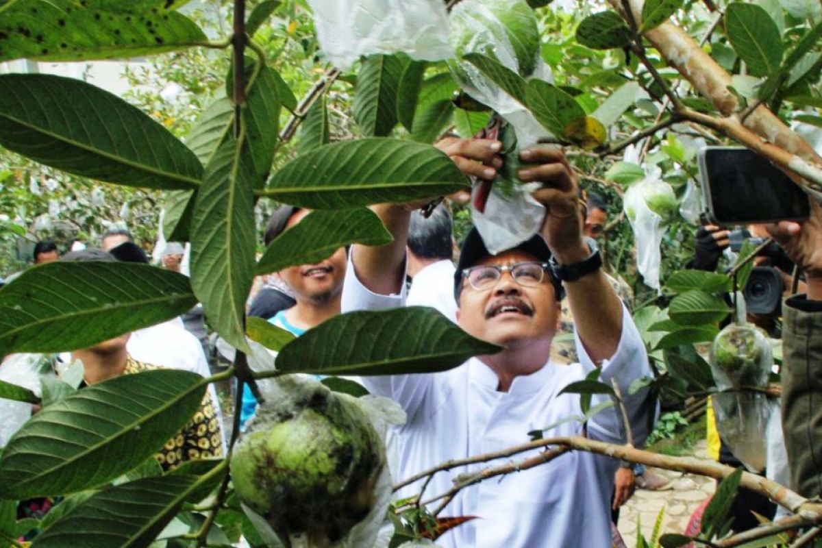 Gus Ipul Inginkan Sertifikasi Petani Organik