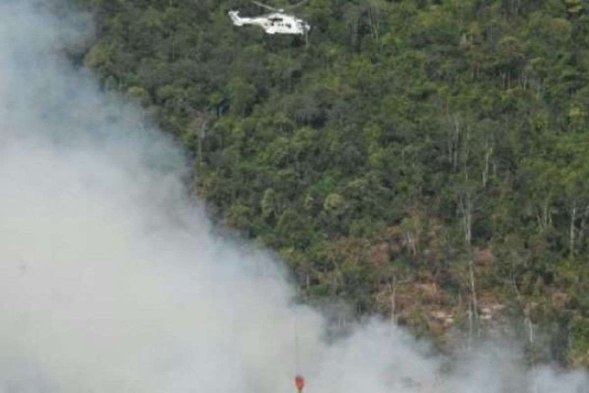 Helikopter Superpuma Sinarmas Padamkan Kebakaran Lahan Desa Sepahat Bengkalis