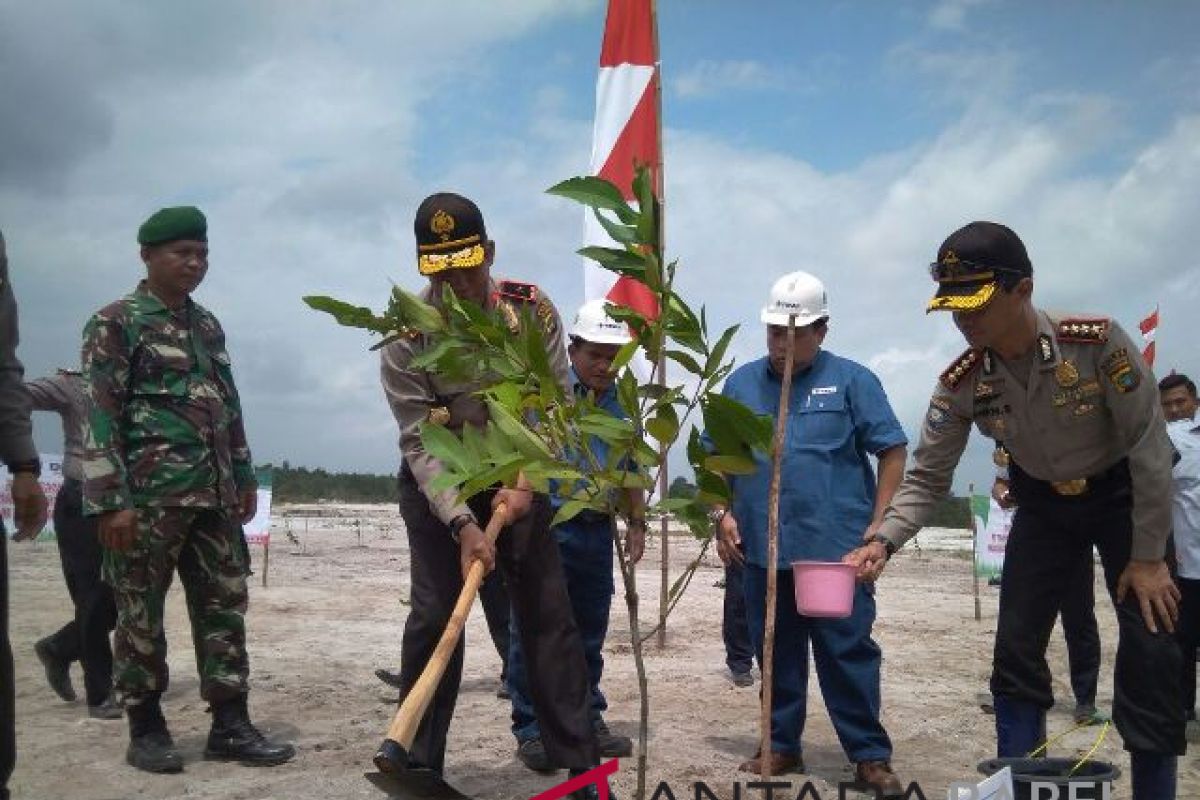 Polda Babel dan PT Timah hijaukan lahan bekas tambang