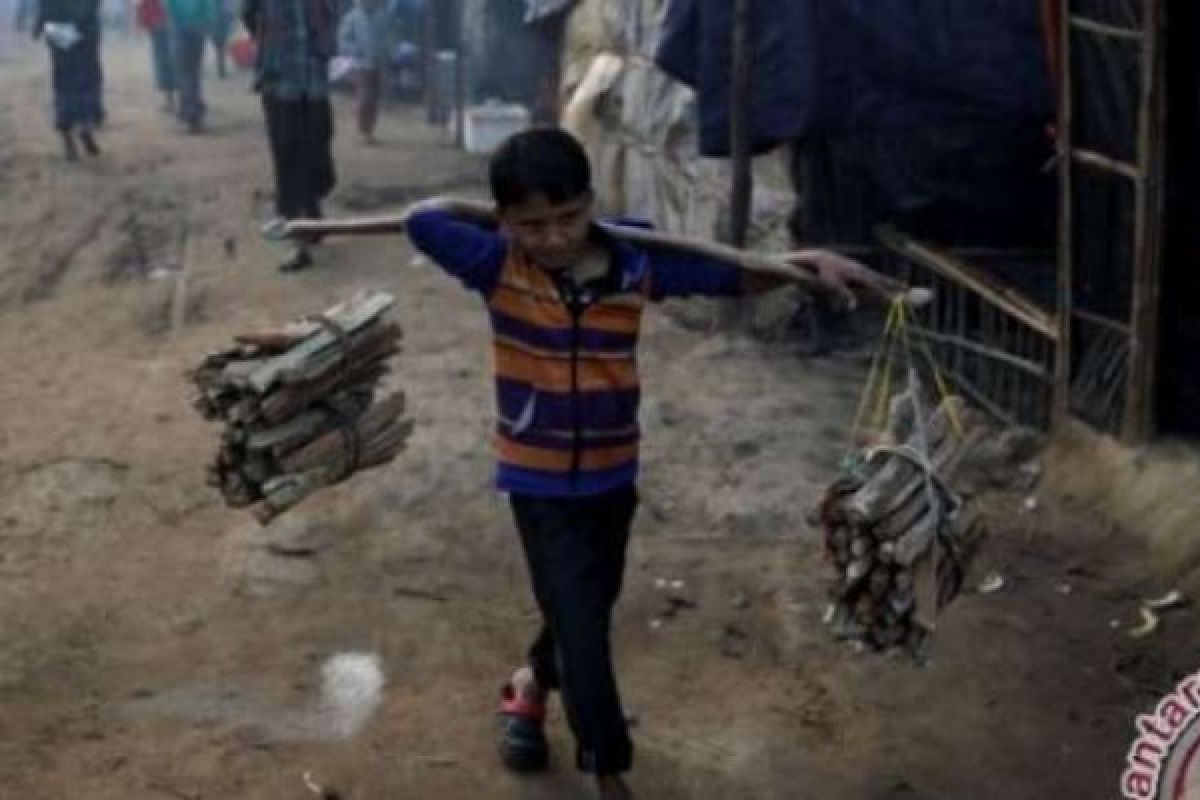 Ini Peran Aktif Indonesia Untuk Rohingya Menurut Pengamat Hukum Internasional UNRI