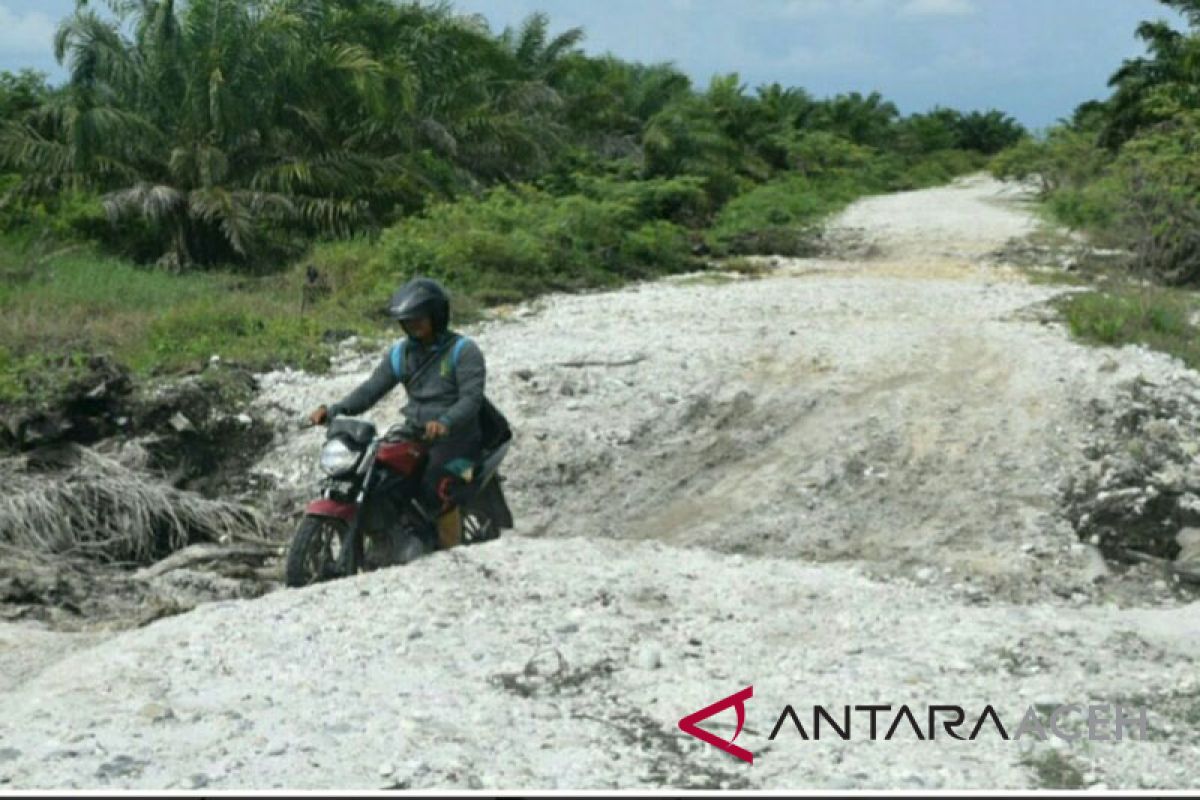 Pembangunan jalan evakuasi tsunami di Singkil ditiadakan