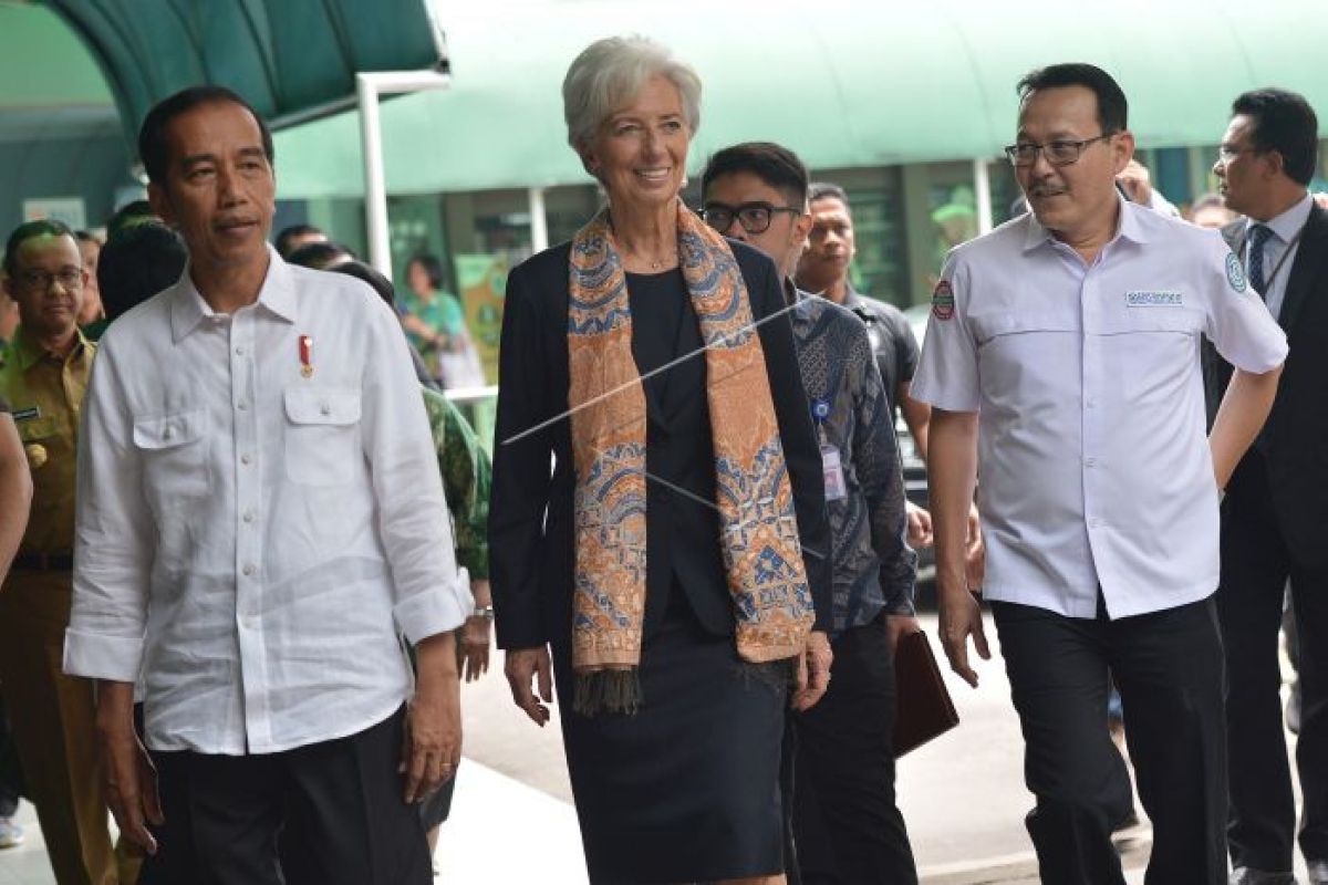 Jokowi minta masukan Lagarde soal UMKM