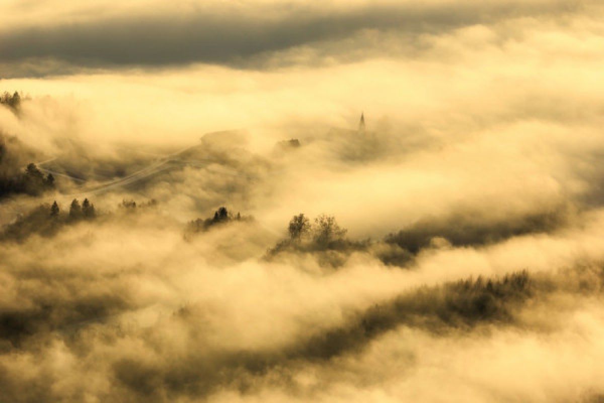 6.000 penumpang terlantar akibat kabut asap