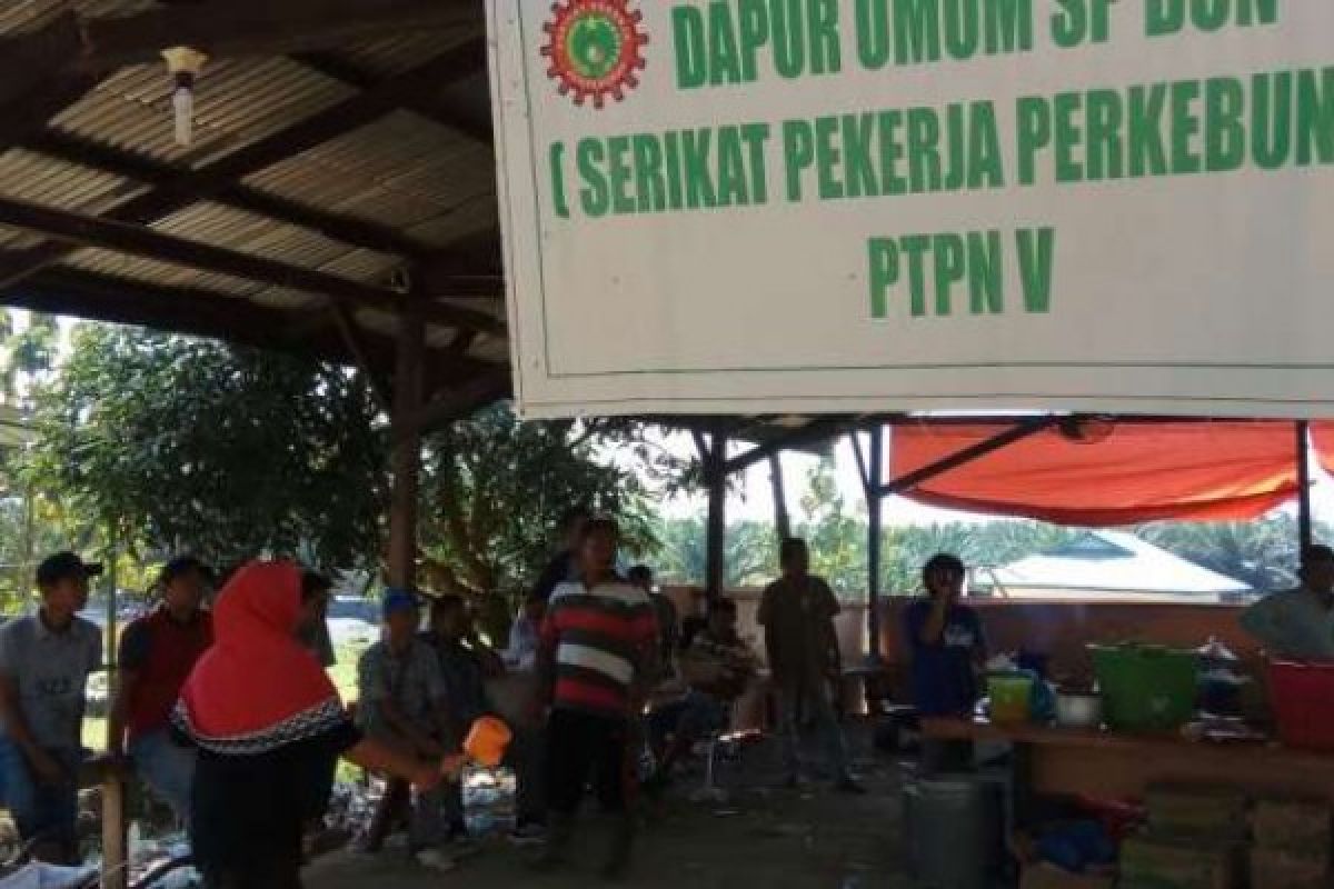 Kapolda Riau Pastikan Eksekusi Lahan PTPN V Ditunda, Kapolres Kampar Bertemu 2 Kementrian ini
