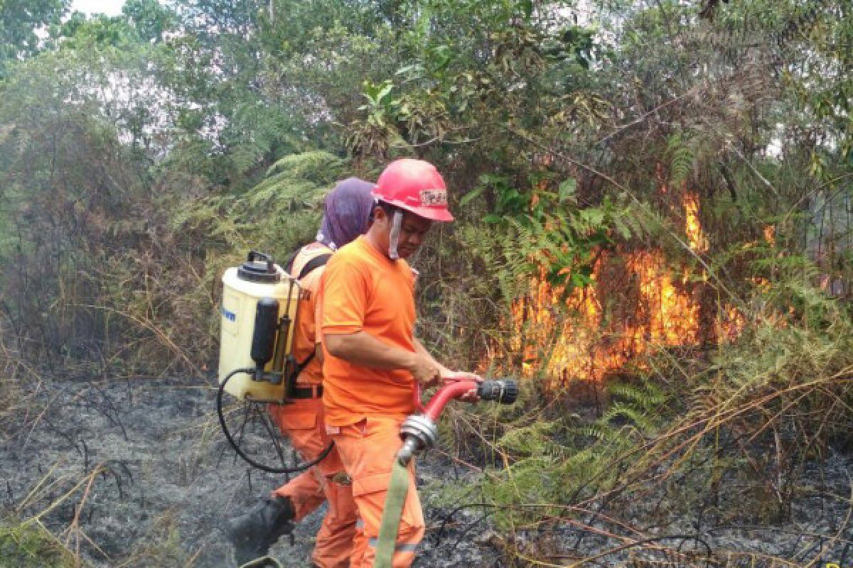 Taman Nasional Bentarum tingkatkan patroli karhutla