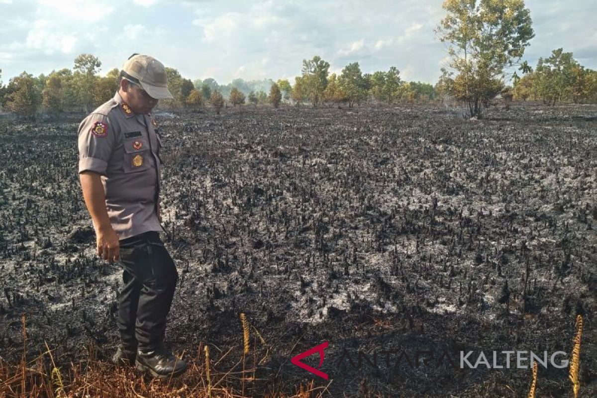 Penyebab karhutla di kawasan lingkar luar masih diselidiki