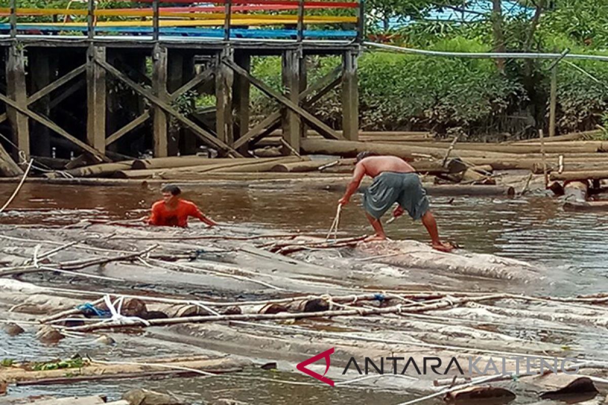 Ternyata! DAS Barito sering jadi jalur kayu ilegal