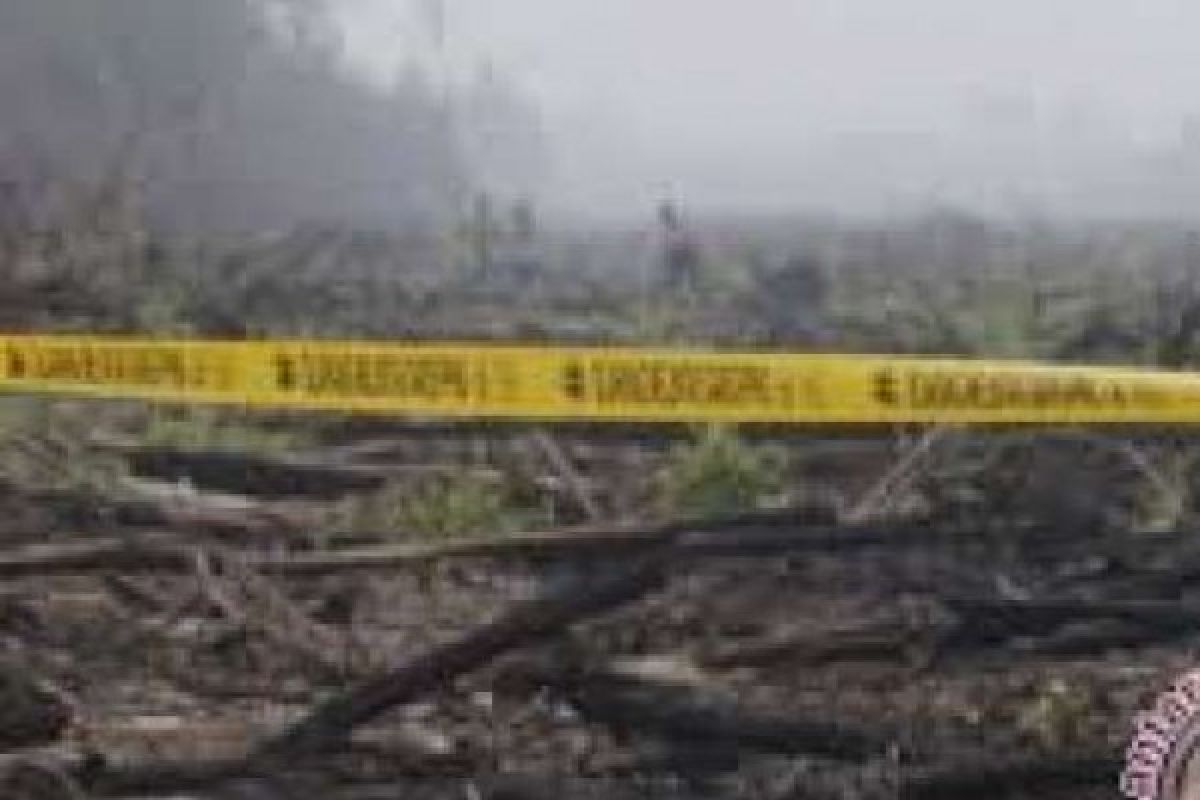 Kebakaran Lahan Masyarakat dan PT NSP di Meranti Diselidiki, Garis Polisi Dipasang di sini