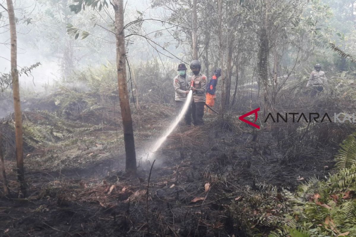 Sudah 20 hektare lahan gambut terbakar