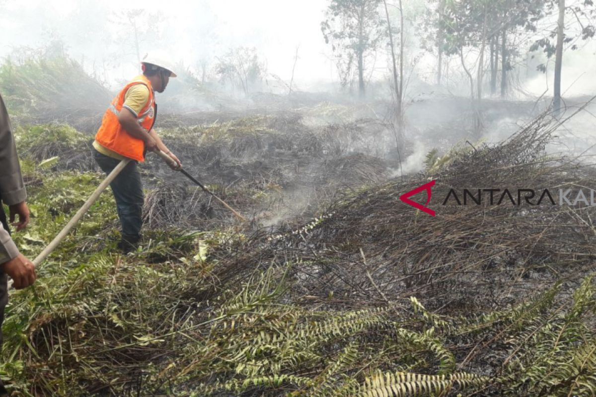 Empat hektare lahan gambut Singkawang terbakar