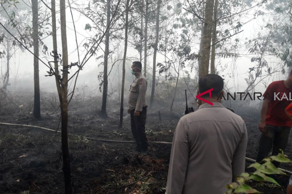 100 hektare lahan di perkebunan Singkawang terbakar