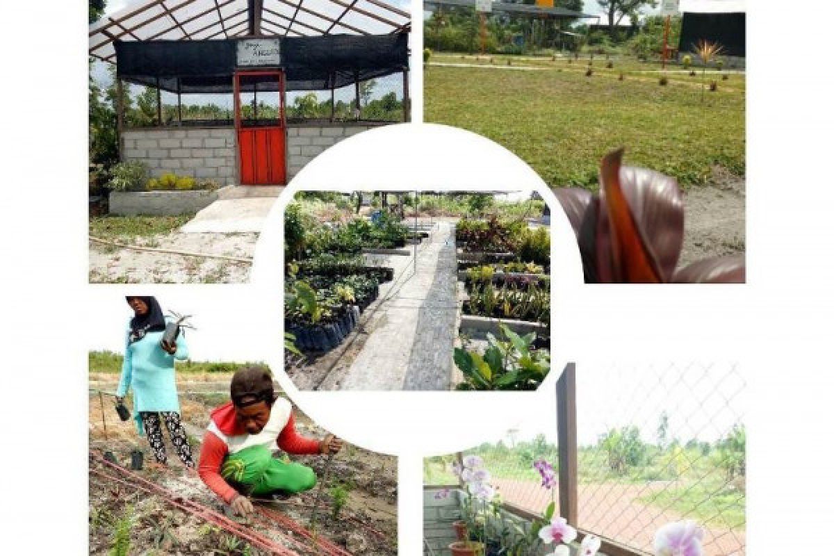 Kebun raya terluas di Indonesia ditarget 2020 di Kotim