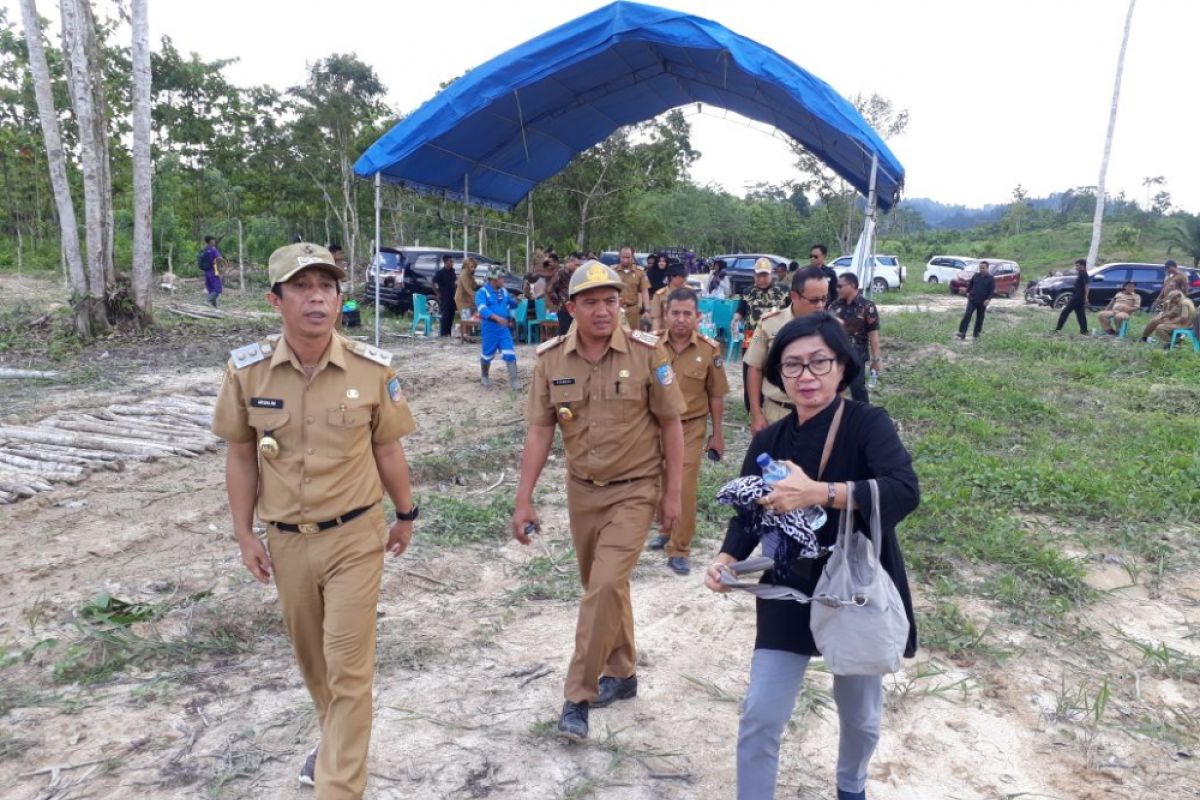 Pengembangan sapi, Konawe Selatan siapkan lahan 500 hektare