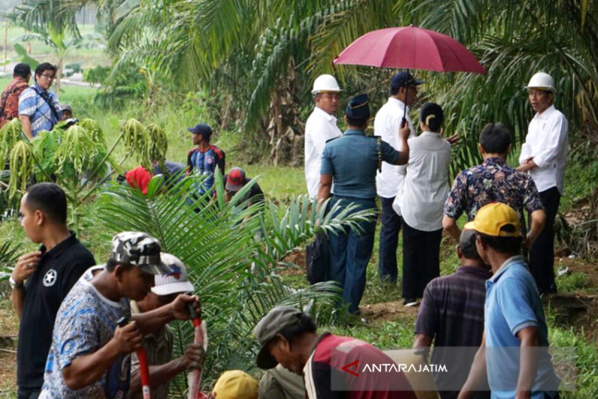 Program Padat Karya Tunai Petani Berlanjut