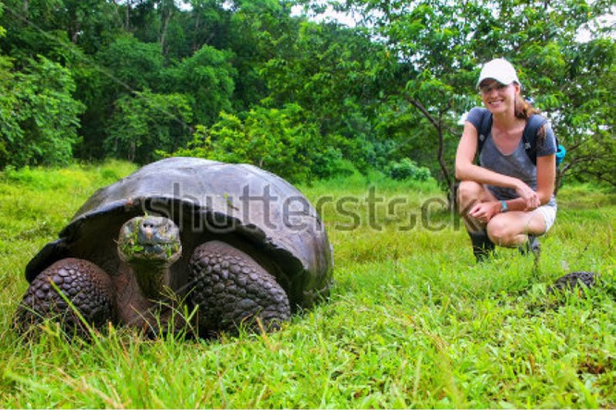 Kamboja temukan sarang 'Kura-kura kerajaan'