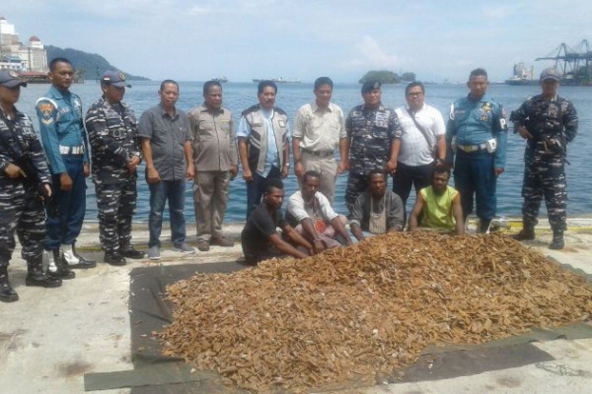 Prajurit TNI AL gagalkan penyelundupan kayu masohi dari PNG