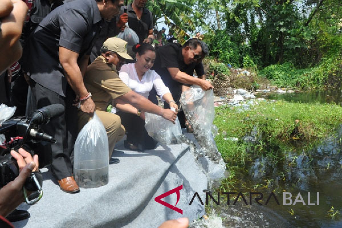 Bupati Tabanan sebarkan 15.000 ekor benih ikan nila