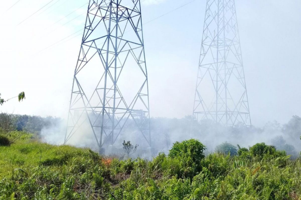 Jaringan trasmisi PLN terancam pembakaran lahan