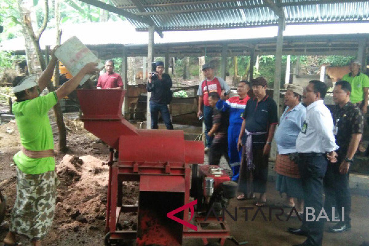 Pertamina bantu pengolahan kotoran sapi jadi pupuk