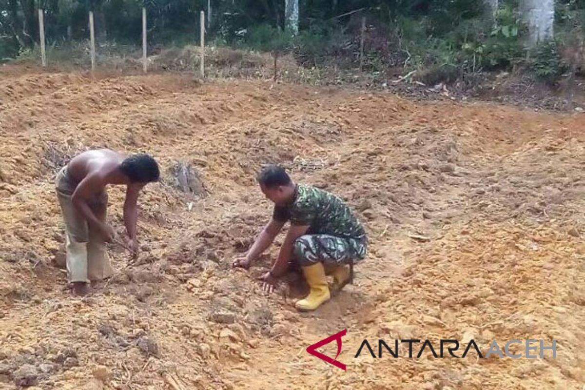 TNI Singkil bantu petani tanam sayur