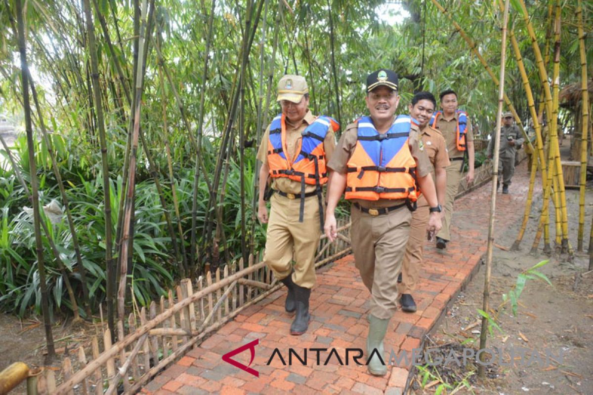 Pemkot Bekasi kembangkan konservasi bambu menjadi wisata