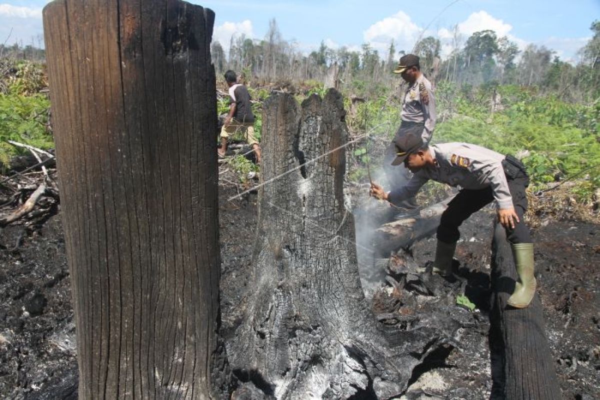 Delapan titik panas di Aceh sudah padam