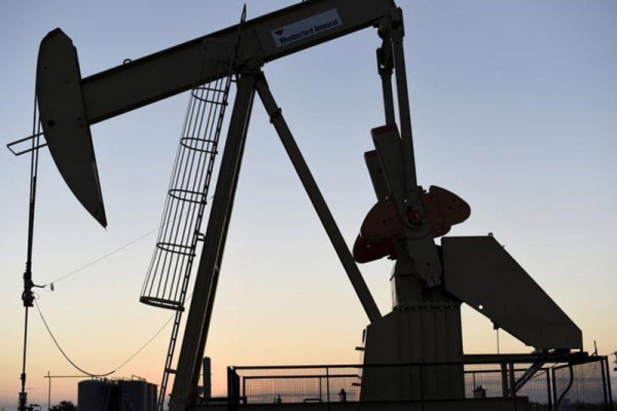 Harga minyak jatuh karena Libya