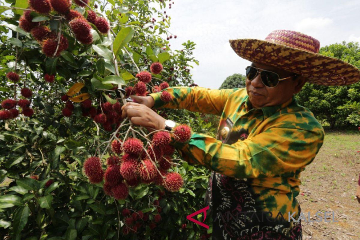 Gubernur Minta Balitbangda Kembangkan Teknologi Pascapanen Buah