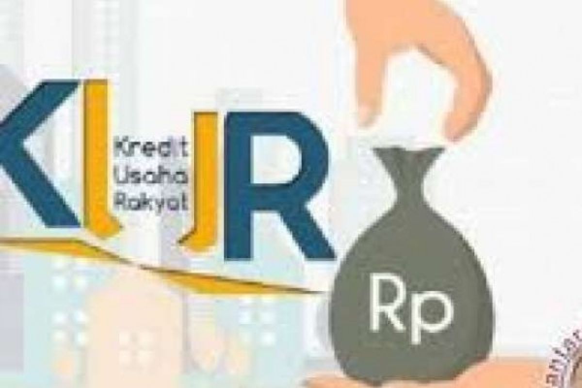 Realisasi Kredit Usaha Rakyat di Riau Jauh dari Target, Bank Masih Mempersulit?