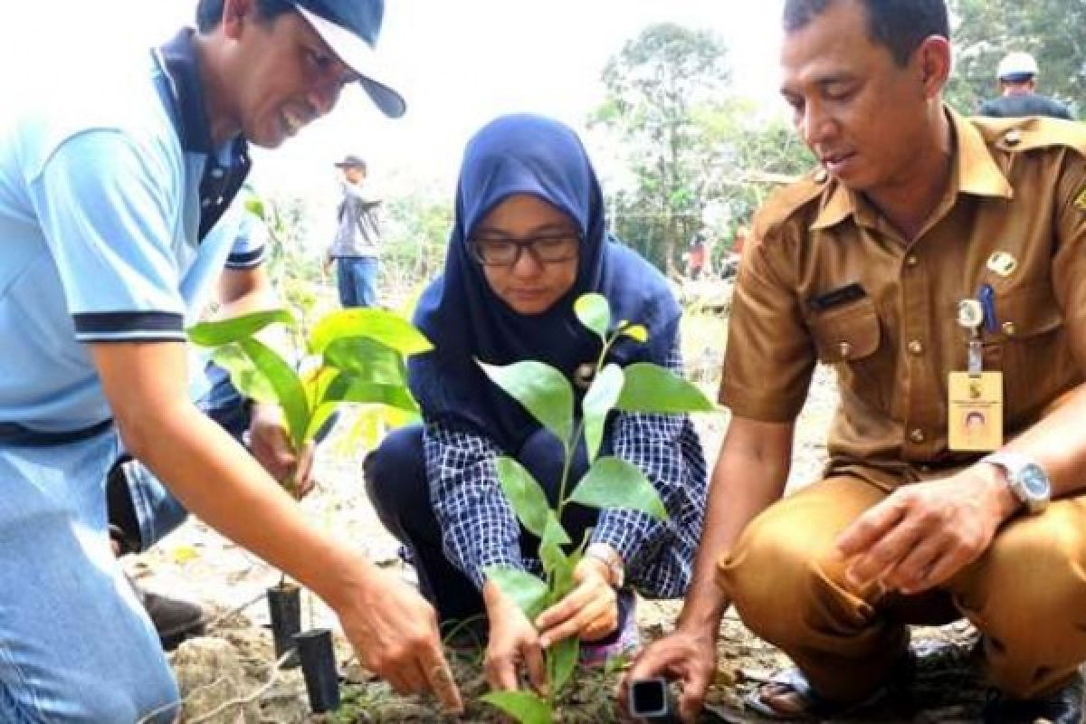 Ribuan Pohon ditanam Untuk Kesejahteraan Warga