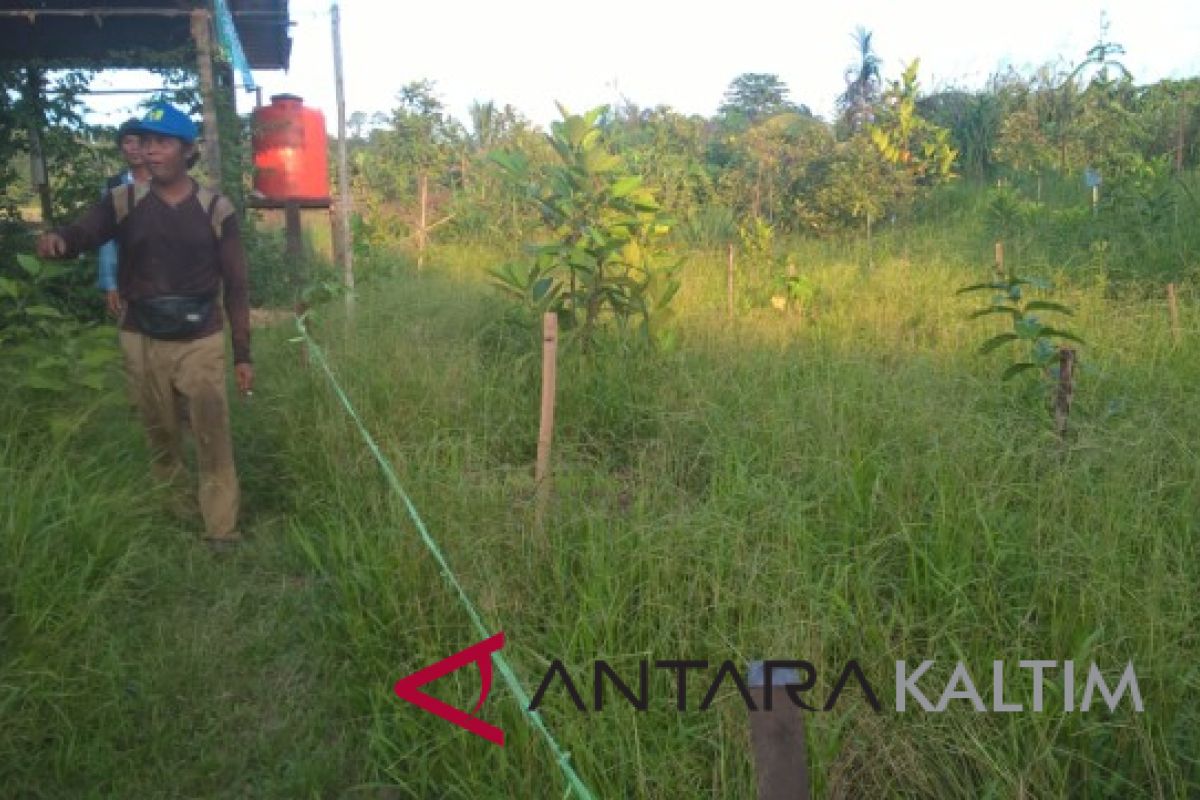 Pecinta sungai terus bangun budaya air